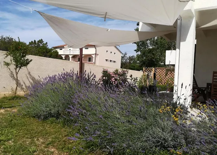 Hébergement de vacances 4 Bedroom Lovely In Povljana