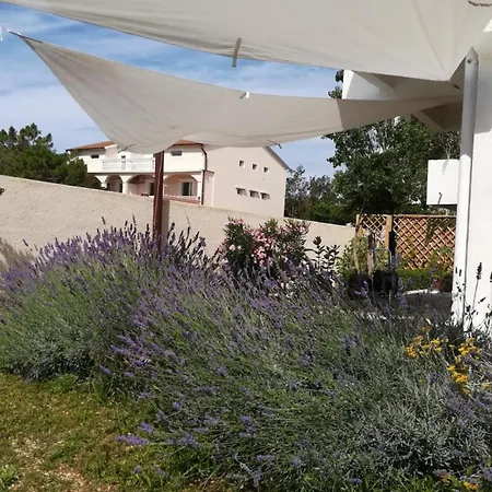 Holiday home 4 Bedroom Amazing Home In Povljana Povljana